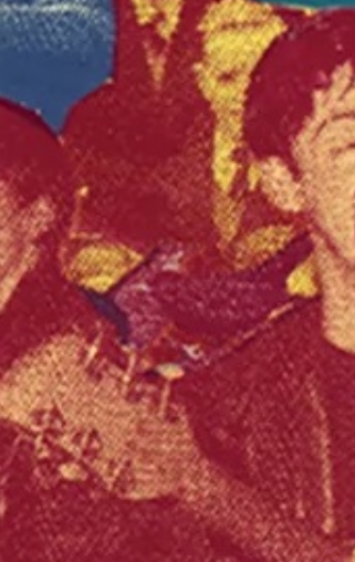 blackbird image from red collage