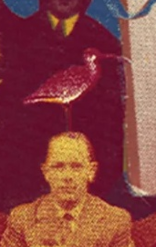 curlew image from red collage