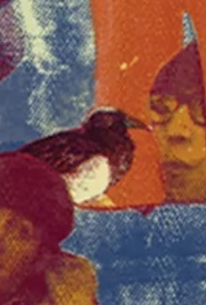 garganey image from red collage