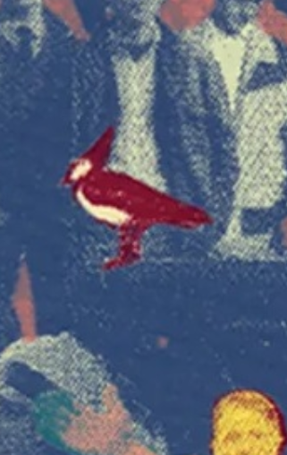 lapwing image from red collage
