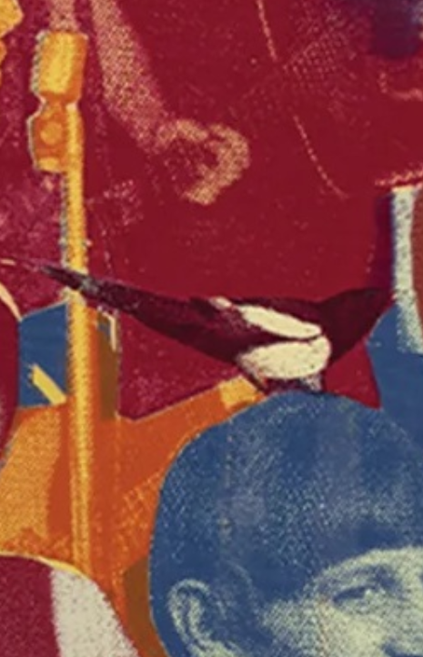 magpie image from red collage