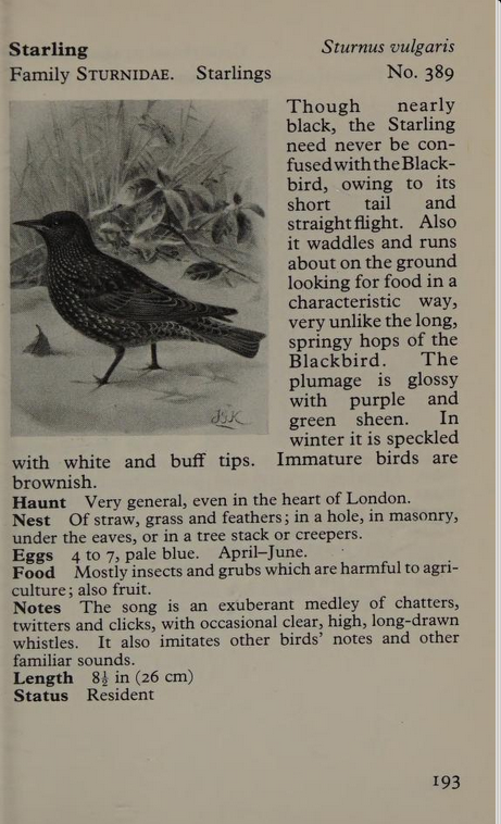 starling page from Observer's Book of Birds